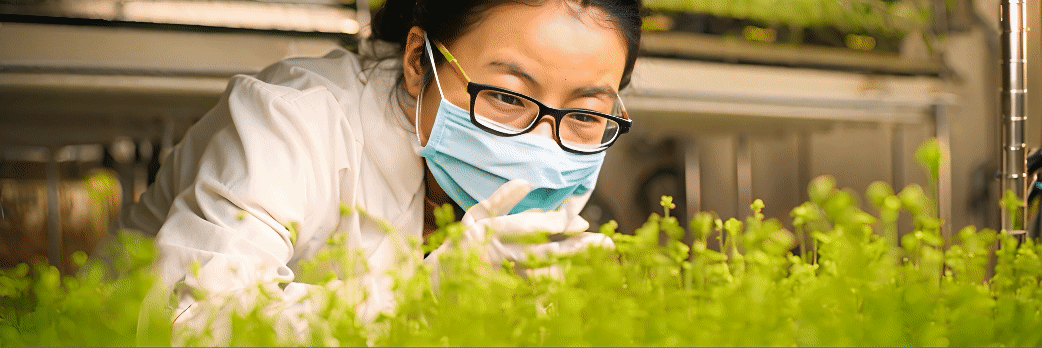 Cultivo de plantas en laboratorio, mujer científica