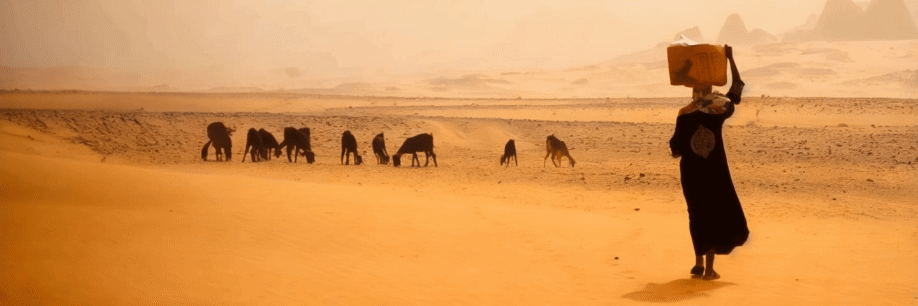 Mujer caminando por el desierto
