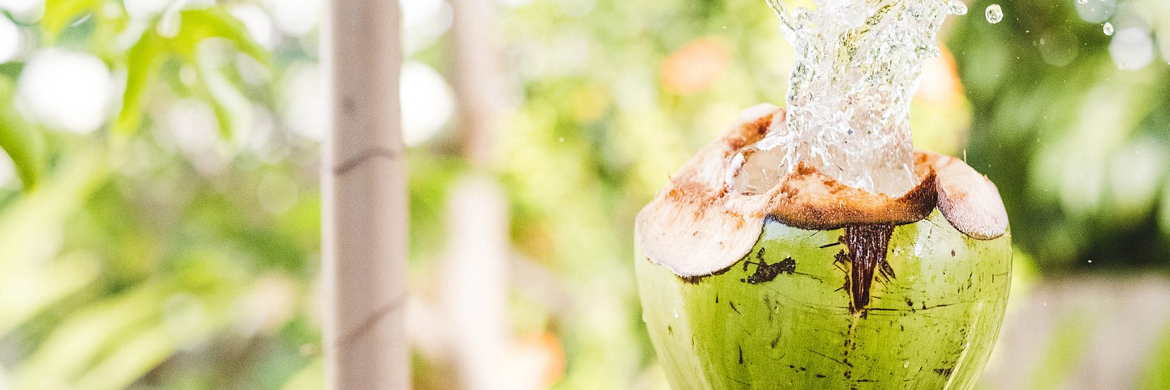 Fresh coconut, coconut water