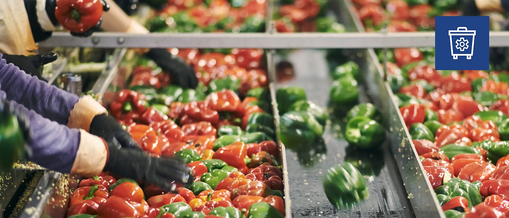 Minimising waste, sorting peppers, waste bin icon